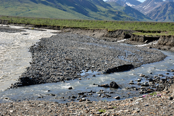 Denali National Park scenery